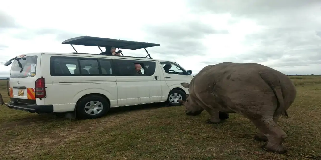 Safari Vehicle Hire Kenya | Kenya Safari Holidays